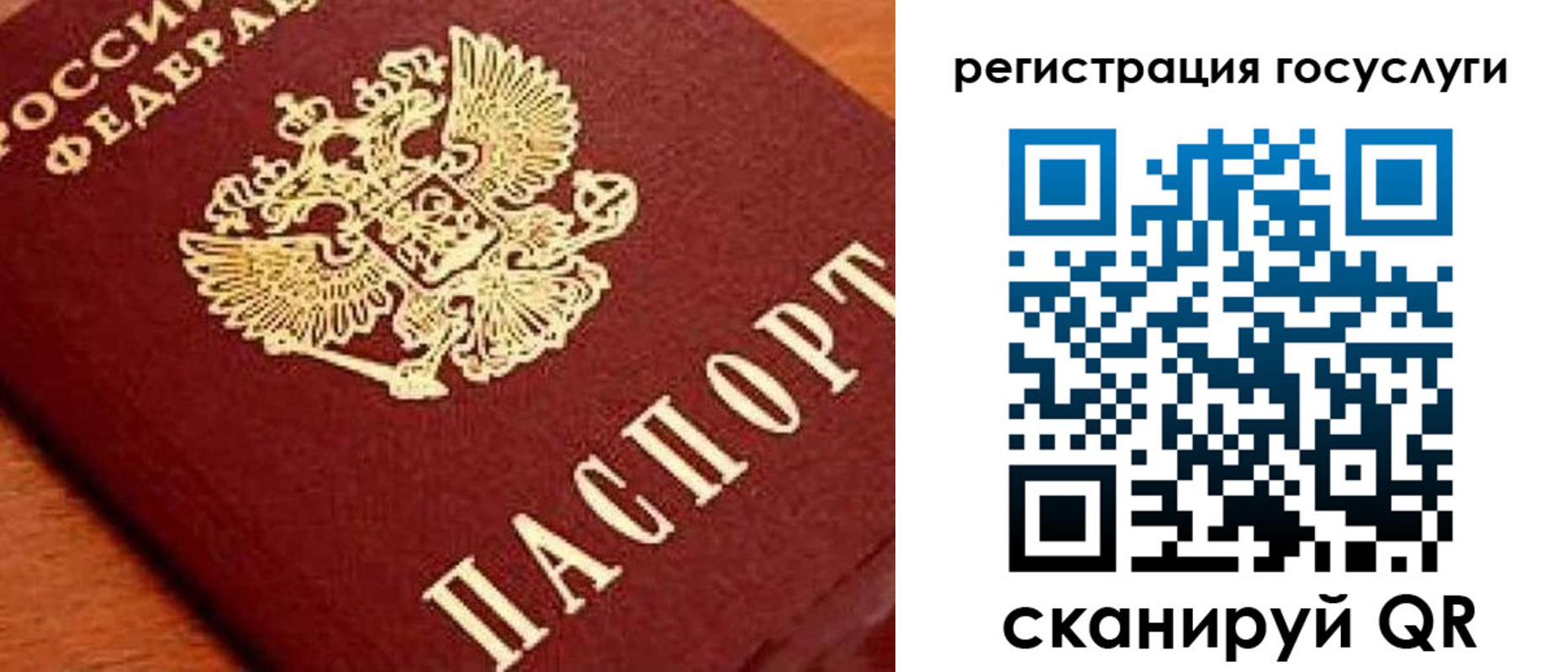 временная регистрация недорого в Ершове